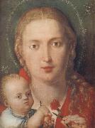 Albrecht Durer The Madonna with a Carna-tion Spain oil painting artist